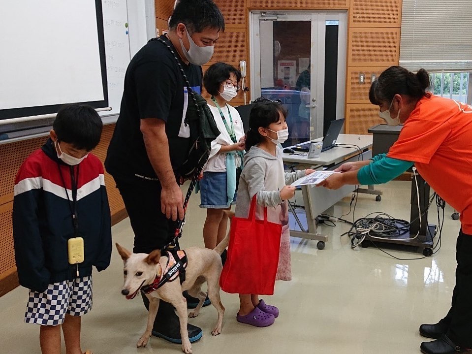 コレクション 沖縄県 ペット譲渡会