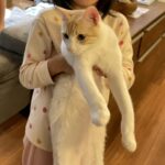 Thumbnail of new posts 059