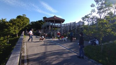Thumbnail of post image 109