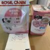 Thumbnail of new posts 055