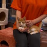 Thumbnail of new posts 056