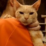 Thumbnail of new posts 071