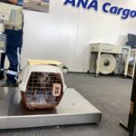 Thumbnail of new posts 034