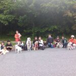 Thumbnail of new posts 141