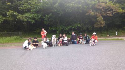 Thumbnail of post image 017