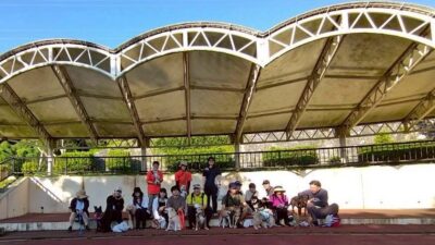 Thumbnail of post image 072