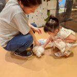 Thumbnail of new posts 183