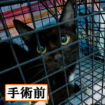 Thumbnail of related posts 048