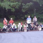 Thumbnail of new posts 008