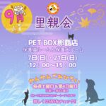 Thumbnail of new posts 160