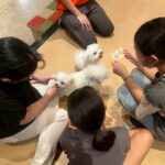 Thumbnail of new posts 179