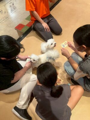 Thumbnail of post image 141