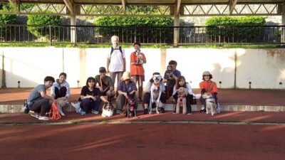 Thumbnail of post image 051