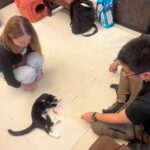 Thumbnail of new posts 102