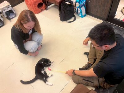 Thumbnail of post image 102