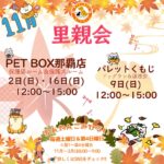 Thumbnail of new posts 128