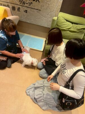 Thumbnail of post image 101