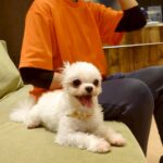 Thumbnail of new posts 134