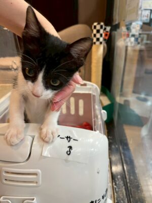 Thumbnail of post image 186