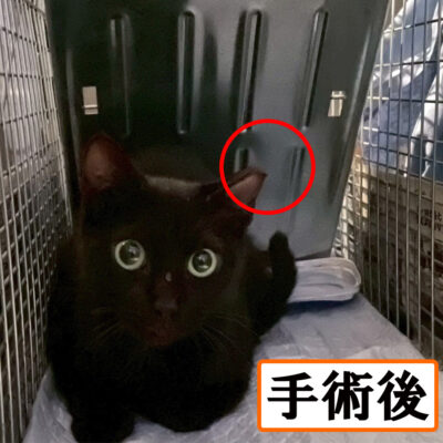 Thumbnail of post image 020