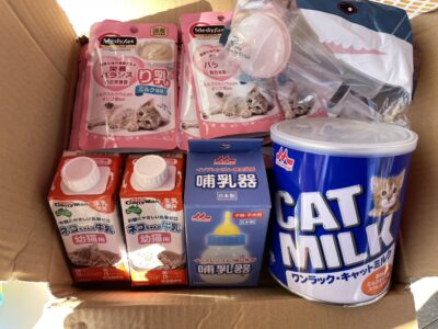 Thumbnail of post image 048