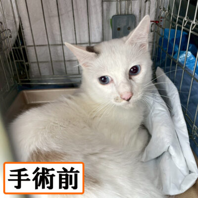 Thumbnail of post image 178