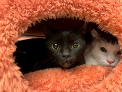 Thumbnail of post image 030