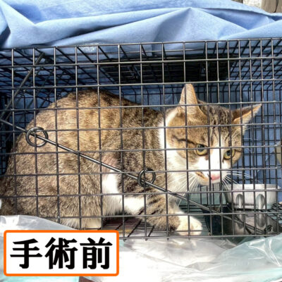 Thumbnail of post image 136