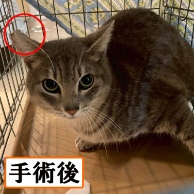 Thumbnail of post image 096