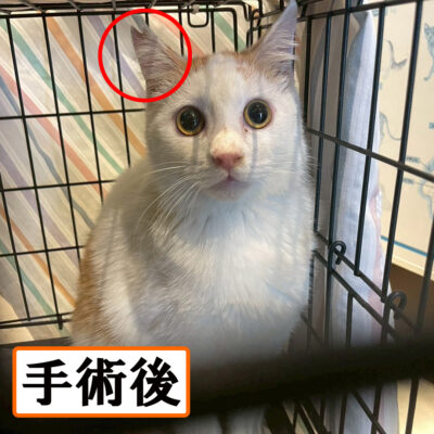 Thumbnail of post image 055