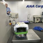 Thumbnail of new posts 181