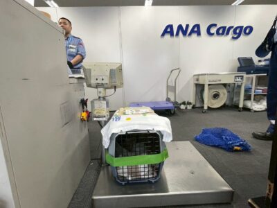 Thumbnail of post image 198