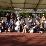 Thumbnail of new posts 113