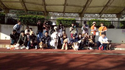 Thumbnail of post image 089