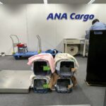 Thumbnail of new posts 083