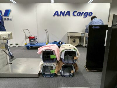 Thumbnail of post image 069