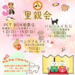 Thumbnail of new posts 033