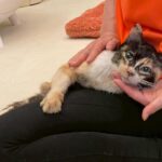 Thumbnail of new posts 058