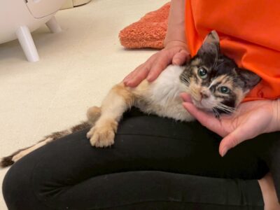 Thumbnail of post image 020